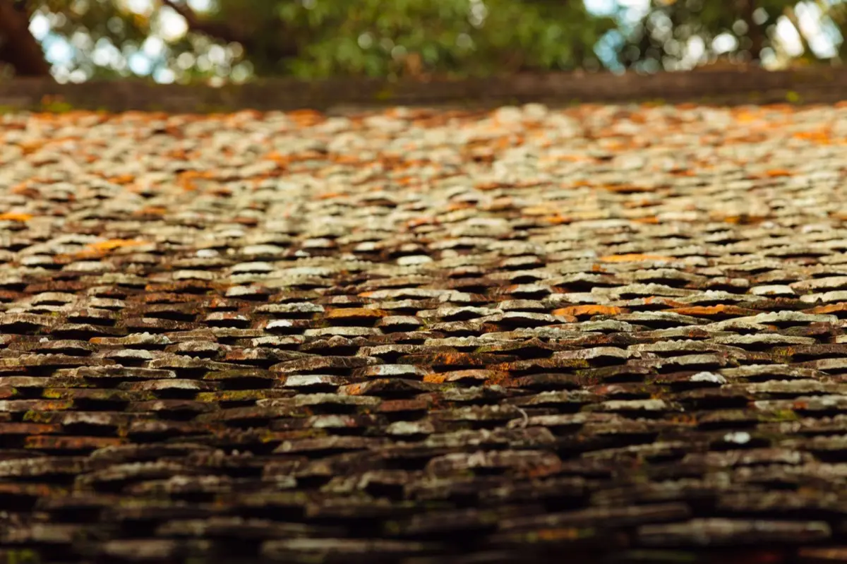 Aging shingle roof with moss growth and granule loss in Aurora, IL